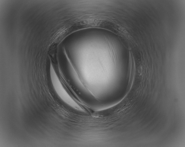 X0000051270693200507011745