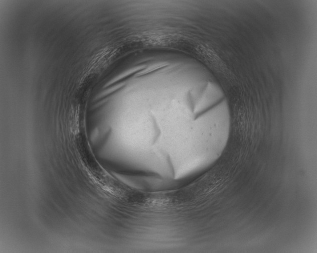 X0000051270694200507011745