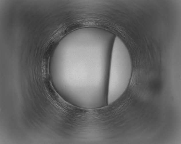 X0000051270696200507011745