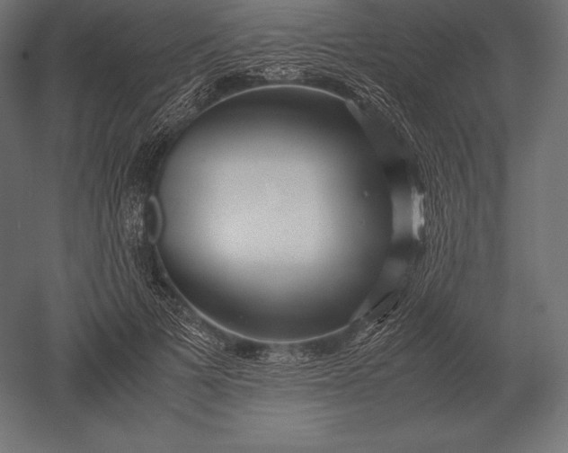 X0000051270697200507011745