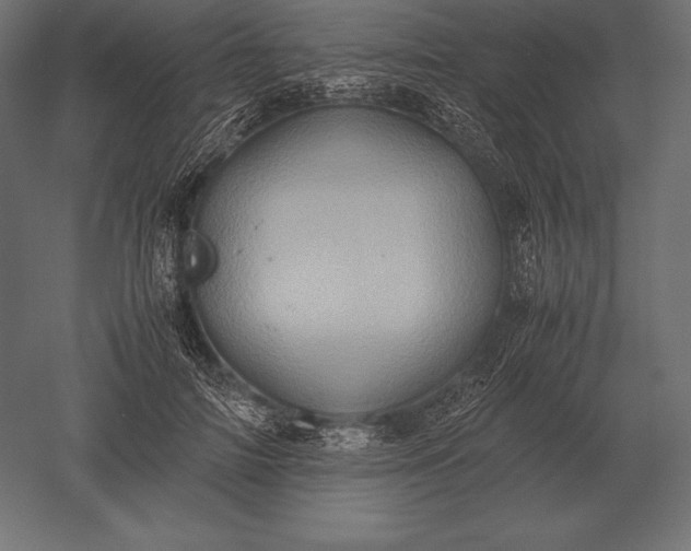 X0000051270698200507011745