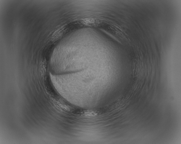 X0000051270702200507011745