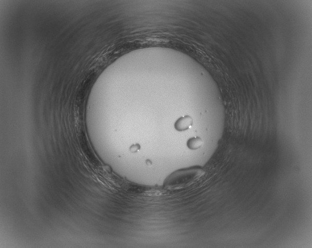 X0000051270704200507011745