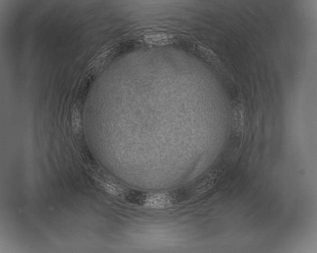 X0000051270705200507011745
