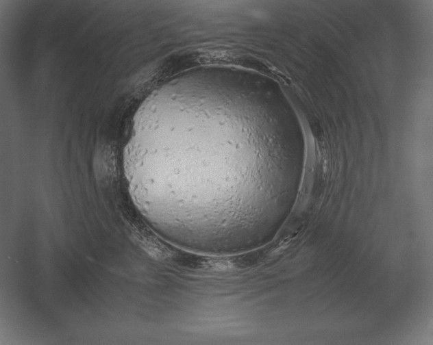 X0000051270715200507011745
