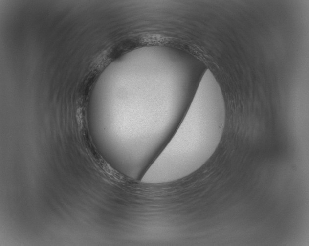 X0000051270716200507011745