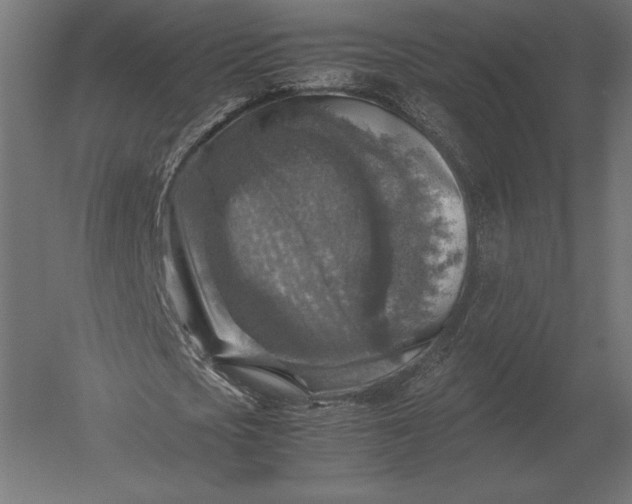 X0000051270721200507011744