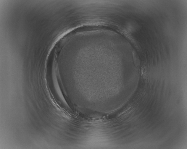 X0000051270724200507011744