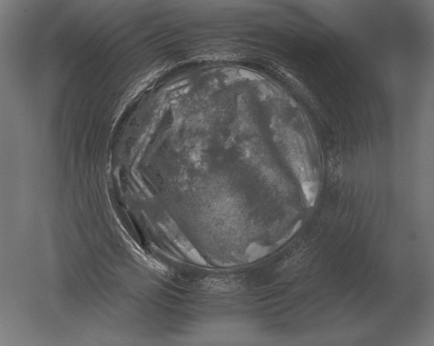 X0000051270725200507011744