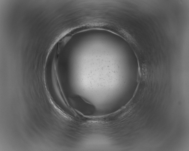 X0000051270726200507011744