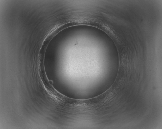 X0000051270730200507011744