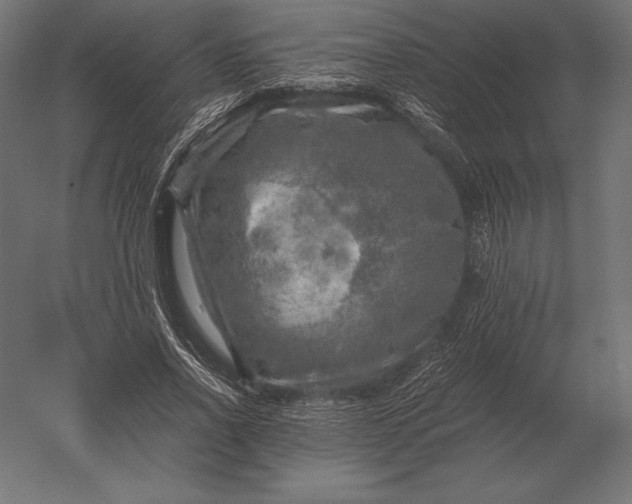 X0000051270734200507011744