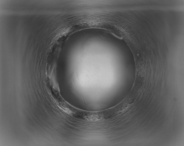 X0000051270740200507011744