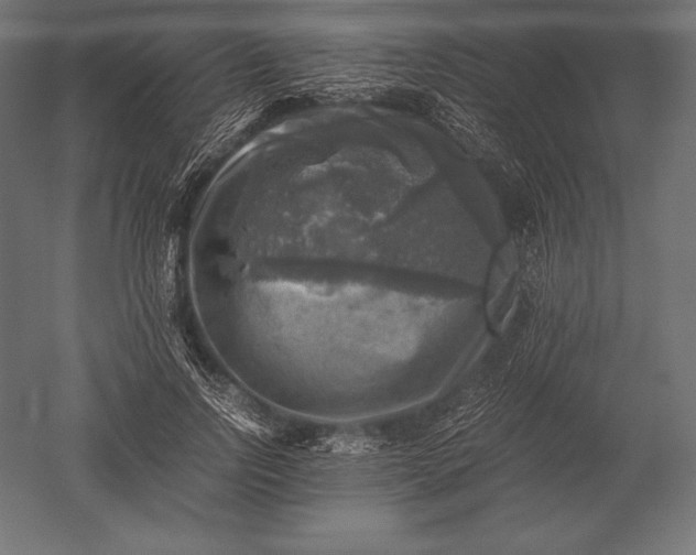 X0000051270742200507011744