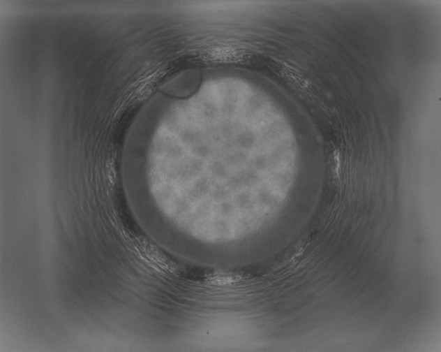 X0000051270746200507011744