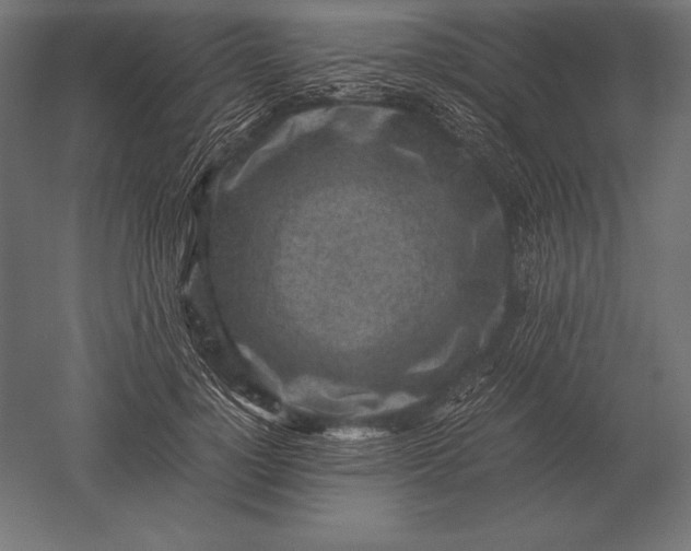 X0000051270748200507011744