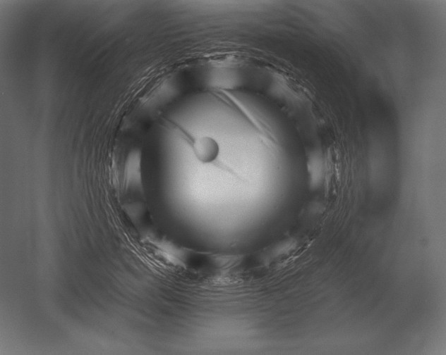 X0000051270750200507011744