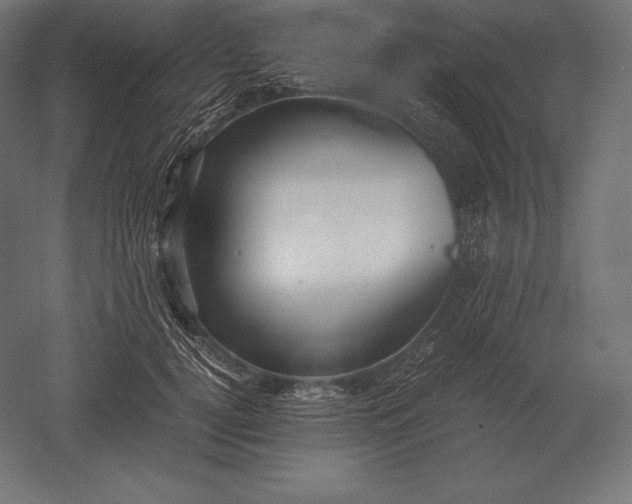 X0000051270752200507011744