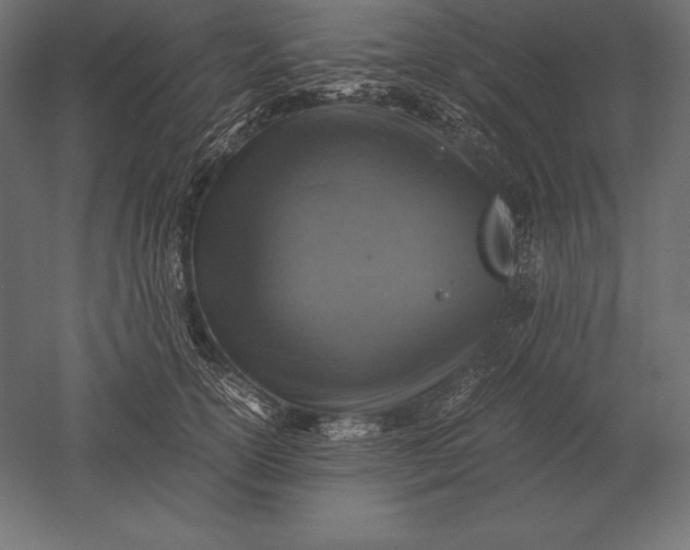 X0000051270754200507011744