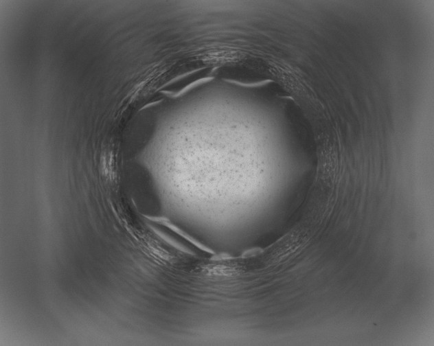 X0000051270755200507011744