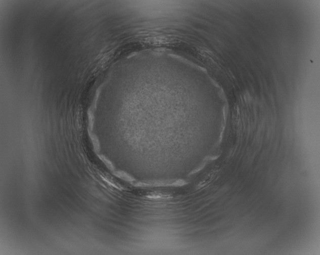 X0000051270760200507011744