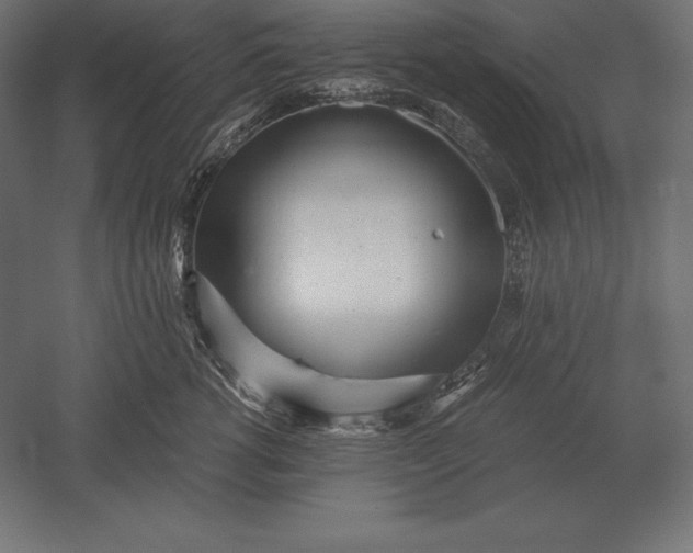 X0000051270762200507011744