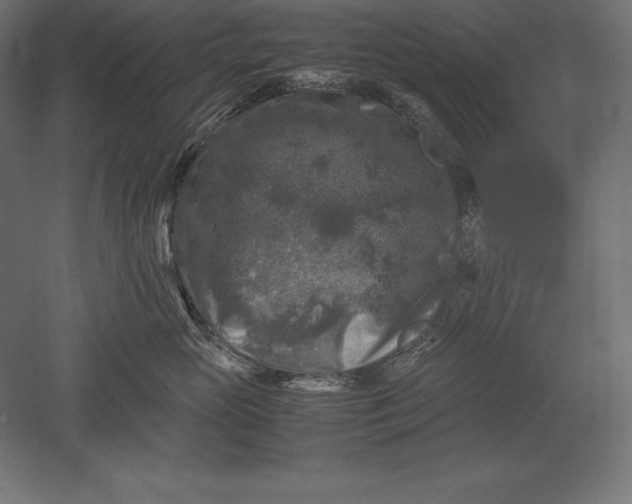 X0000051270765200507011745