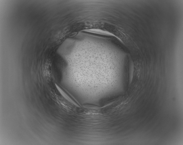 X0000051270770200507011744
