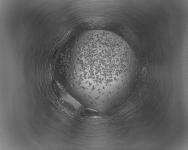 X0000051270772200507011744