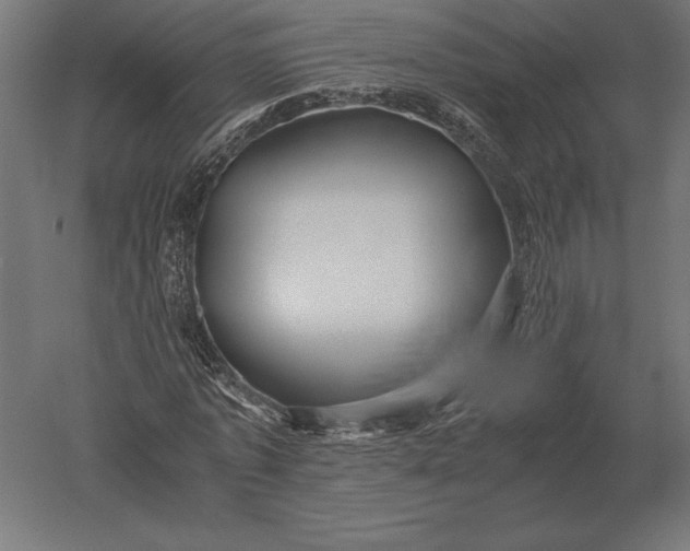 X0000051270773200507011744