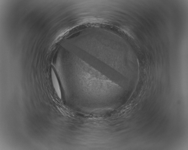 X0000051270775200507011744