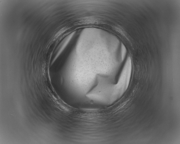 X0000051270778200507011744
