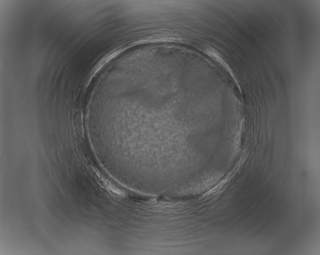 X0000051270781200507011744