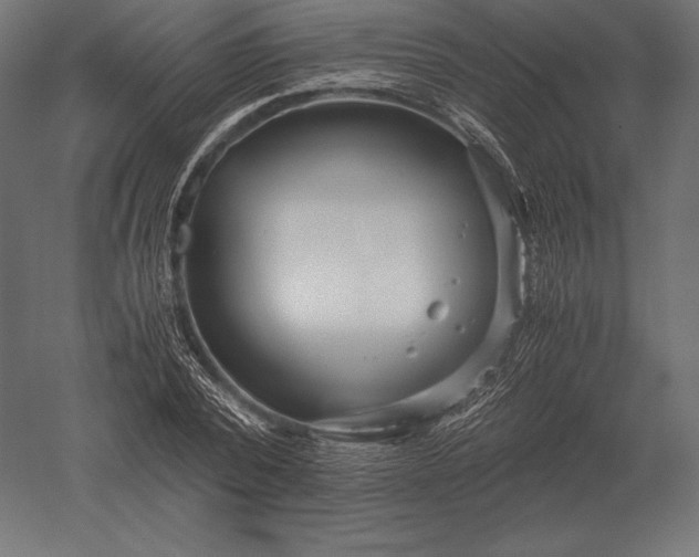 X0000051270784200507011743