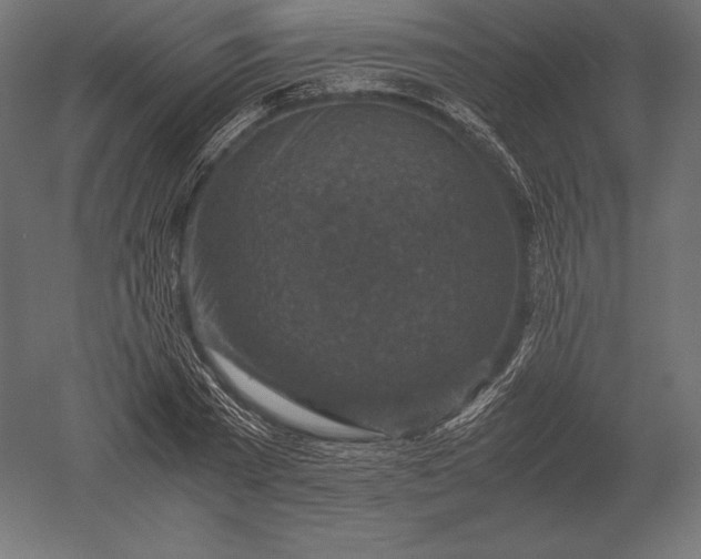 X0000051270785200507011743