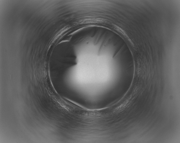 X0000051270786200507011743