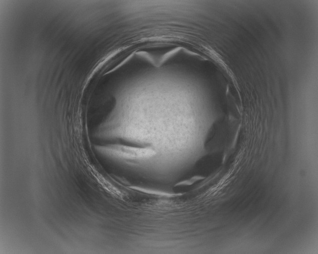 X0000051270787200507011743