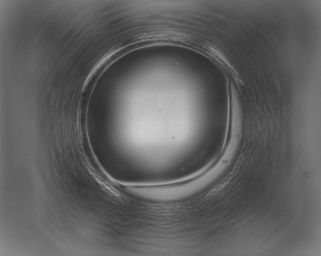 X0000051270788200507011743