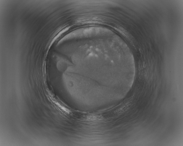 X0000051270790200507011743