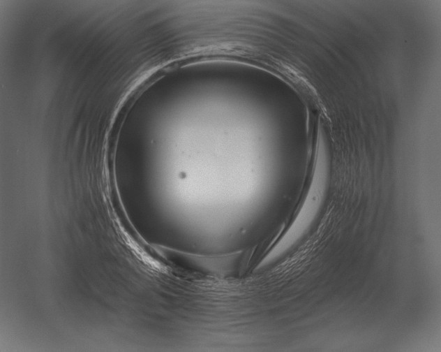 X0000051270792200507011743