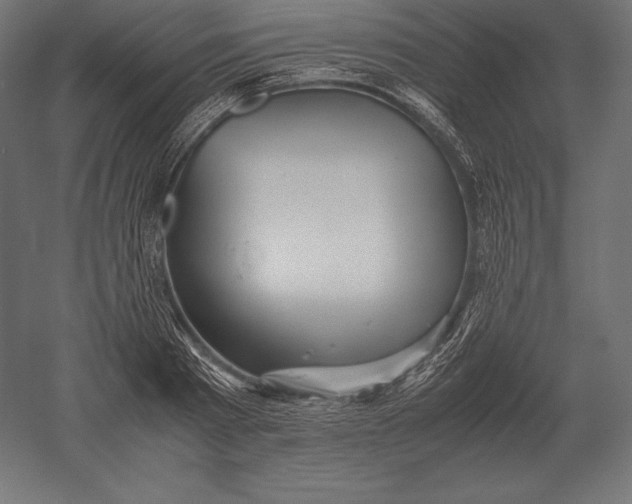 X0000051270793200507011743
