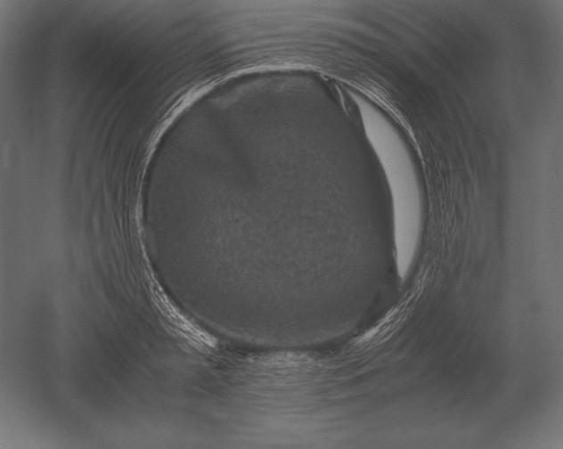 X0000051270797200507011743