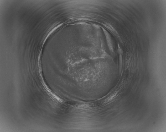 X0000051270798200507011743