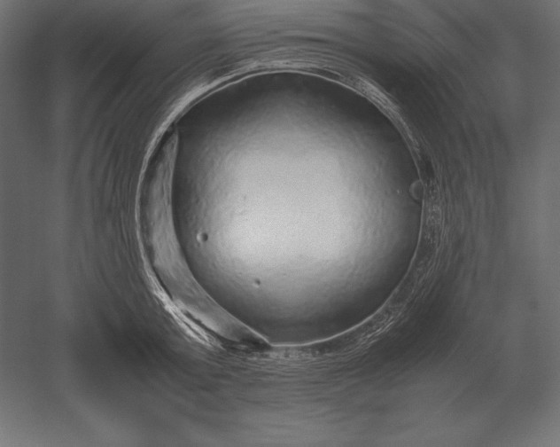 X0000051270803200507011743