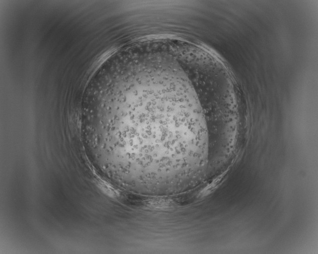 X0000051270809200507011743