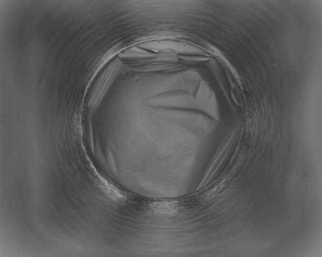 X0000051270810200507011743