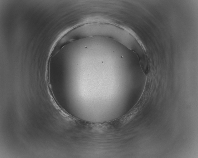 X0000051270815200507011743