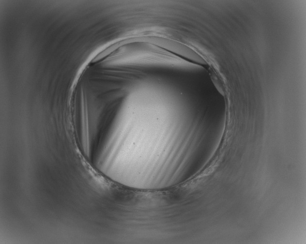X0000051270816200507011743