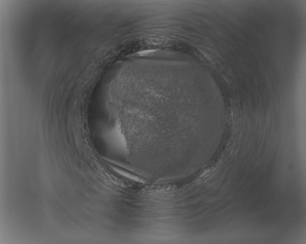 X0000051270817200507011742