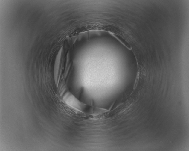 X0000051270818200507011742